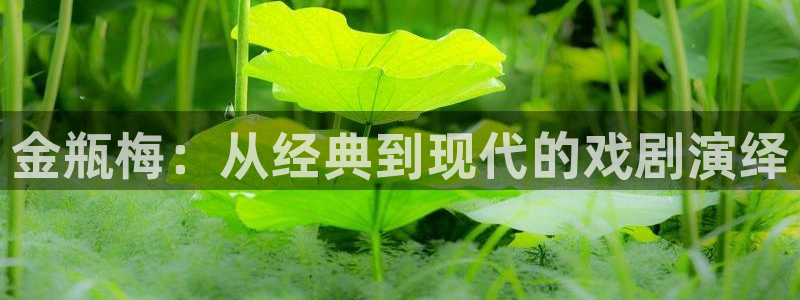 喵呜漫画(喵上漫画)：金瓶梅：从经典到现代的戏剧演绎