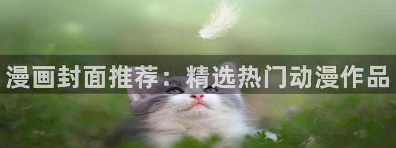 趣猫漫画官网：漫画封面推荐：精选热门动漫作品