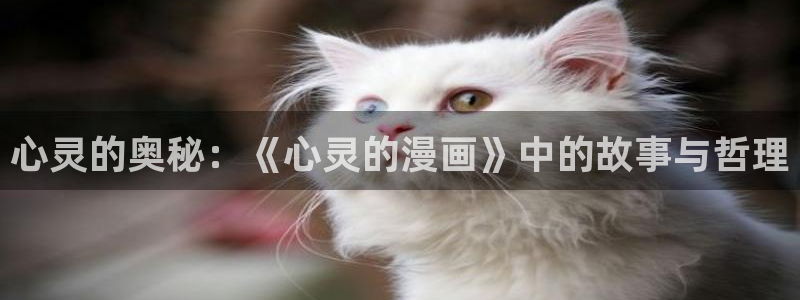 喵趣漫画下载人口：心灵的奥秘：《心灵的漫画》中的故事与哲理