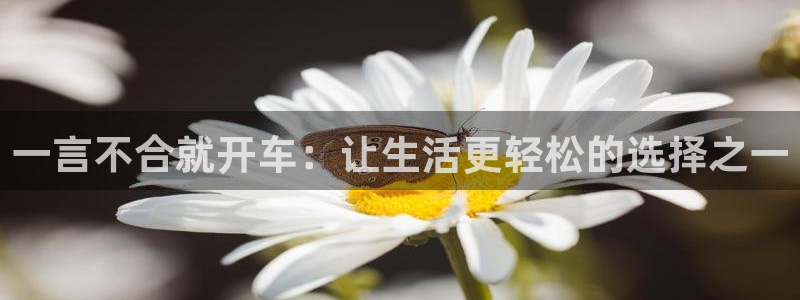 漫画喵趣：一言不合就开车：让生活更轻松的选择之一