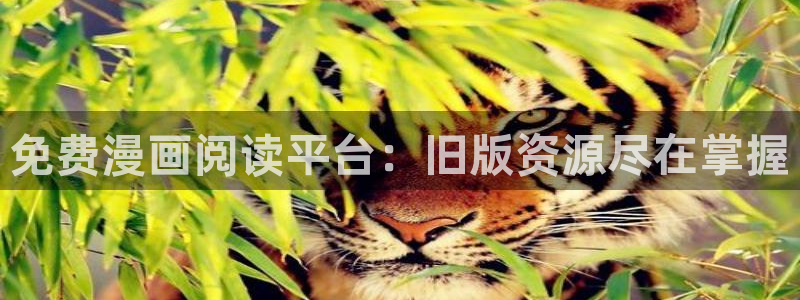 喵趣漫画老版本：免费漫画阅读平台：旧版资源尽在掌握